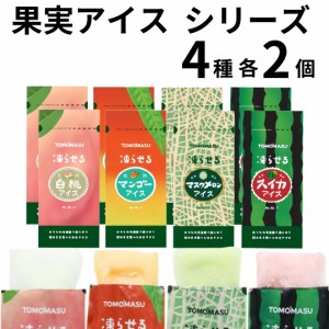 シャーベット スティック バー 冷凍 業務用 ジュース 詰め合わせ 送料無料 パック ジェラート アイスクリーム アイスキャンディー かき氷