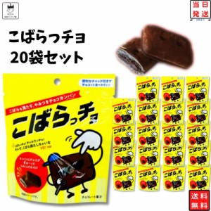 非常食セット 非常食 お菓子 詰め合わせ 送料無料 個包装 保存食 カンパン 子供 大人 子供会 駄菓子 業務用 駄菓子セット こばらっチョ 2