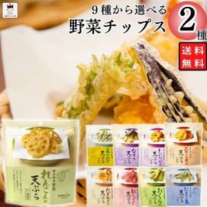 おつまみ ギフト セット 野菜チップス 天ぷらスナック 9種から選べる2種 お菓子 詰め合わせ 珍味 おつまみギフト 父の日 母の日 ホワイト