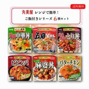 丸美屋 ごはん付き 6種 セット レトルト食品 詰め合わせ 常温保存 レトルト 惣菜 常温 ごはん おかず レトルトご飯 インスタント食品 惣