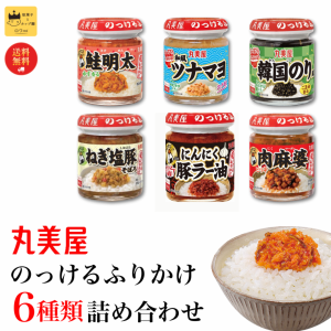 丸美屋 ふりかけ 詰め合わせ 送料無料 レトルト食品 常温保存 のっけるふりかけ 6種 ごはんのお供 インスタント インスタント食品 瓶詰め