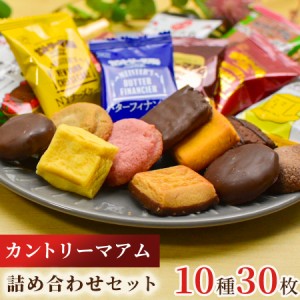 お菓子 詰め合わせ 送料無料 駄菓子 業務用 駄菓子セット 子供 大人 子供会 個包装 不二家 カントリーマアム マイスターズ 10種 各3枚 チ