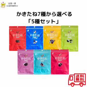 ポイント消化 送料無料 おつまみ セット おつまみセット お菓子 詰め合わせ 駄菓子 ギフト セット 柿の種 業務用 かきたね 選べる5種セッ