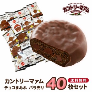 お菓子 詰め合わせ 送料無料 子供 個包装 駄菓子 業務用 駄菓子セット プチギフト 不二家 カントリーマアム チョコまみれ チョコレート 4