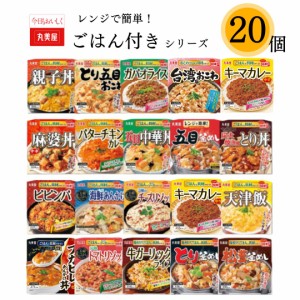 レトルト食品 常温保存 詰め合わせ 送料無料 レトルトご飯 レトルト 惣菜 和食 洋食 おかず 業務用 インスタント食品 ビビンバ 福袋セッ