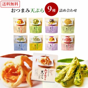 野菜チップス ギフト 天ぷらスナック 9種 詰め合わせ おつまみ セット 珍味 おつまみギフト 父の日 母の日 ホワイトデー お酒 食品 お菓