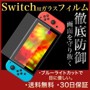 Nintendo Switch lite ブルーライトカット 液晶 保護 フィルム 任天堂スイッチ