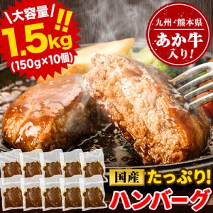 大容量 ハンバーグ 1.5kg (150g × 10個) 国産 九州産 あか牛 卵 デミグラスソース 冷凍 お湯 湯煎 するだけ 温めるだけ お弁当 にも使え