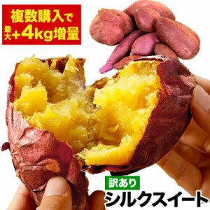 さつまいも 熊本県産 訳あり シルクスイート 1kg (サイズ大中小不揃い) 送料無料 1-5営業日以内に発送予定(土日祝除く)