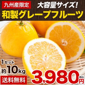 和製グレープフルーツ 約10kg 送料無料 九州産 河内晩柑 ジューシーみかん 送料無料 旬 の みかん お取り寄せ お取り寄せグルメ 《3-7営