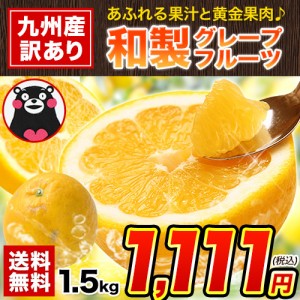 河内晩柑 送料無料 1.5kg 和製 グレープフルーツ 2セット以上でおまけ付き 旬 の フルーツ 果物 みかん 訳あり 夏文旦 晩柑《1-5営業以内