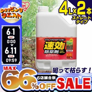 【2個セット】除草剤 速効除草剤 4L SJS-4L ストレートタイプ 人気 速攻除草剤 除草 除草剤 草むしり 草 秋 雑草 速効 庭 手入れ ガーデ