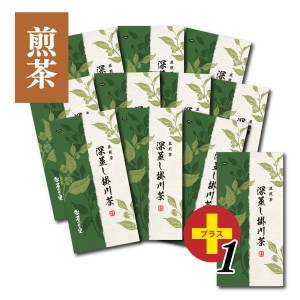 深蒸し掛川茶 10+1本セット (100g袋入×11本)1本サービス 送料無料 深蒸し茶 掛川茶 緑茶 煎茶 茶葉 高級緑茶 静岡 静岡茶 深蒸 セット 