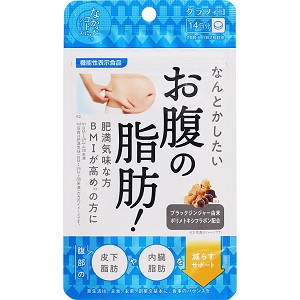 なんとかしたいお腹の脂肪！ 28粒 グラフィコ【OK】