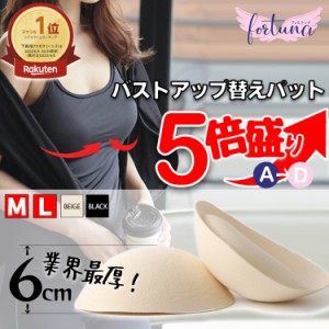 ブラジャー 替えパット 替えパッド 乳がん専用パット 乳癌専用パット 超厚手 パッド  パット ブラパッド パテッドブラ ヌードブラ 極厚 