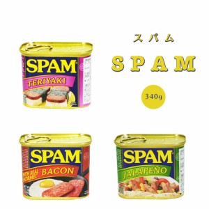 ランチョンミート ポーク 沖縄 グルメ 缶 料理 お土産 手土産 SPAM スパム 340g