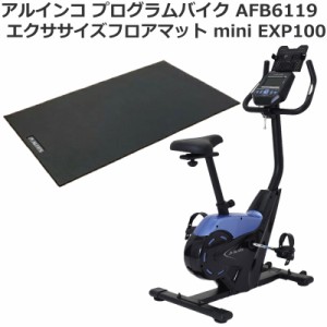 フィットネスバイク アルインコ プログラムバイク AFB6119 ＋ エクササイズフロアマットmini EXP100 セット プログラム12種 ペダル負荷調