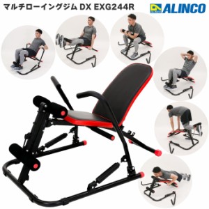 アルインコ マルチローイングジムDX レッド EXG244R ローイングマシン シットアップベンチ 腹筋マシン 1台6役 家庭用 トレーニング器具 