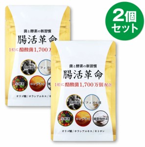 腸活革命 腸活 腸内 コンブチャ 乳酸菌 フローラ サプリメント ダイエット サプリ 生酵素 酵素 ビフィズス菌 雑穀こうじ酵素 サプリ サプ