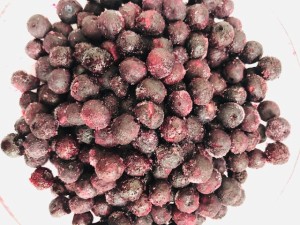 オーガニック冷凍ブルーベリー　（カナダ産） 5kg(1000g×5）【送料無料、消費税込み】　有機栽培、オーガニック　ブルーベリーを、真空