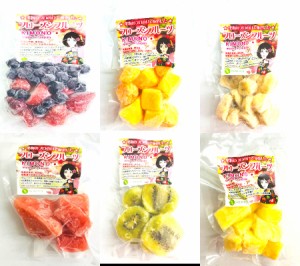 【KIMONO FRUITS】冷凍フルーツ　トロピカルフルーツ＆ベリーベリー、キウィ　６種類　100ｇ×6（バナナ、マンゴー、パイン、すいか、ベ