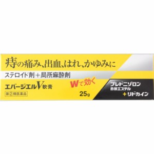 【第(2)類医薬品】【2個セット】エバージエルＶ軟膏 25g【メール便発送】