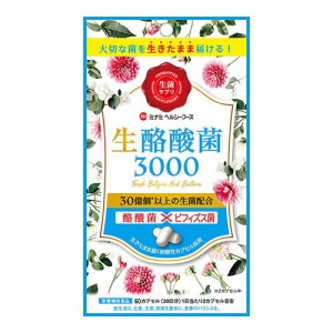 【10個セット】ミナミヘルシーフーズ 生酪酸菌3000 60カプセル (4945904019047-10)【メール便発送】