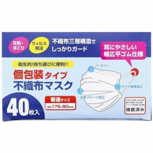 個包装タイプ　プロリーブ 不織布マスク 普通サイズ 40枚入