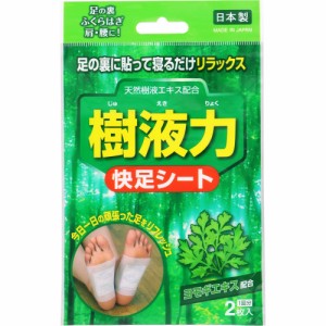 奥田薬品 樹液力 快足シート 2枚【メール便発送】