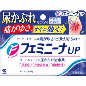 【第2類医薬品】【2個セット】小林製薬 フェミニーナUP 15g (4987072059876-2)【メール便発送】