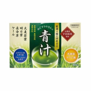 【栄養機能食品】テイカ製薬 めぐすりやさんの青汁 3.0g×30包 (4987399080072)【定形外郵便発送】