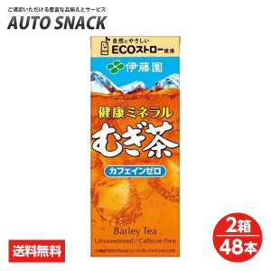 【2箱・48本】伊藤園　健康ミネラル麦茶250紙パック【送料無料】