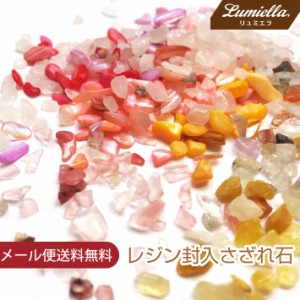 さざれ石 野花 8色 20g レジン封入 ネイル レジンパーツ ネイルパーツ ハンドメイド