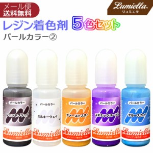 レジン カラー 液 着色料 着色剤 5色 10ml パールカラー2 ジェットブラック