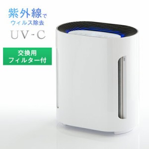 空気清浄機 交換用フィルター付 UV-C紫外線 コンパクト 除菌 紫外線 hepa フィルター 光触媒 消臭 強力 脱臭 花粉 対策 PM2.5 タバコ チ