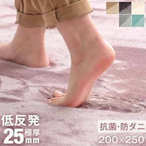 【10時〜P5％還元】 低反発 ラグ 3畳 200×250 極厚25mm ラグマット 3畳 防ダニ 滑り止め付 ラグ 長方形 マット ラグカーペット ラグ 北