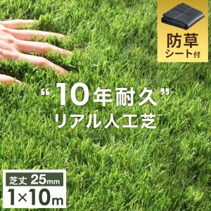 【13日正午〜P5％還元&クーポンで800円OFF】 人工芝 1m×10m 10年使える 超高密度 防草シート付24本 セット 芝丈25mm U字ピン 24本 セッ