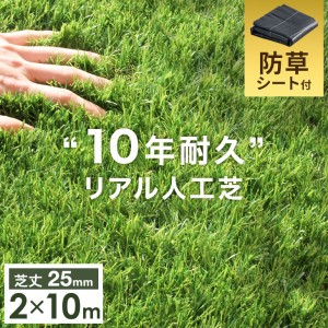 【13日正午〜P5％還元&クーポンで800円OFF】 “10年使える”超高密度 防草シート付 人工芝 2m×10m 48本 セット 芝丈25mm U字ピン 10m 2m