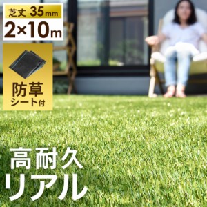 【13日正午〜P5％還元&クーポンで800円OFF】 人工芝 2m×10m ロール 10m 防草シート 付 毛足35mm U字ピン 48本 水はけ リアル 2m ピン セ