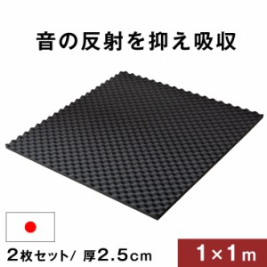 吸音材 2枚セット 1×1m 厚み 2.5cm 日本製 難燃 波型 プロファイル 吸音材 ウレタンフォーム スポンジ 25mm 吸音 防音 壁 壁面   スタジ