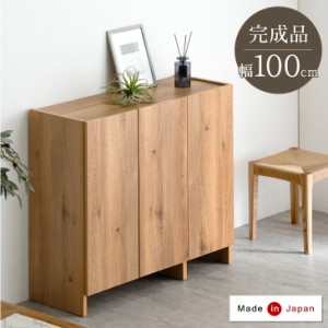 【20時〜1,000円OFFクーポン】 国産 完成品 シューズボックス 幅100 ロータイプ 大容量 洗える 可動棚 4段 空気孔 靴 収納 棚 靴棚 靴入