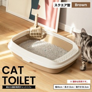 キャットトイレ　スクエアＢＲ 猫 トイレ 本体 ネコトイレ 猫用トイレ キャットトイレ しつけ 猫砂 コーナン