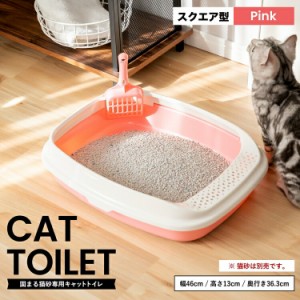 キャットトイレ　スクエアＰＩ 猫 トイレ 本体 ネコトイレ 猫用トイレ キャットトイレ しつけ 猫砂 コーナン