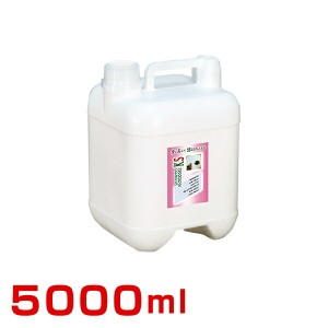 ファンタジーワールド KSアンチスメルシャンプー 5000ml #w-132706