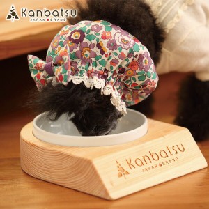 ［カンバツ］Kanbatsu 国産木製 ラビッシュ シングル ディッシュ 食器 餌皿 猫 犬 エサ皿 4562217432037 #w-151696
