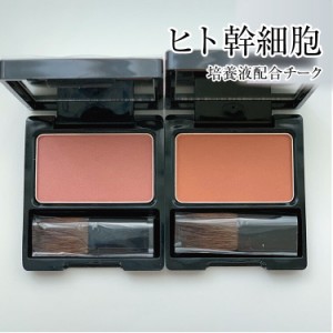 シェルマ SC チークカラー ( レッド・オレンジ )  エンチーム 化粧品 ENZY CHELMA SC cheek color チーク カラー 頬紅 幹細胞コスメ 正規