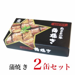 四万十うなぎ 国産 四万十うなぎ  蒲焼き缶詰 ２個セット【鰻/蒲焼き/国内産/ご飯のお供/おかず/家飲み/お中元/ギフト/プレゼント】正規