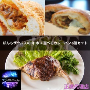 ぼんちザウルスの肉1本+選べるカレーパン 6個セットトプカ宮崎  お中元 お歳暮 ギフト プレゼント  正規代理店