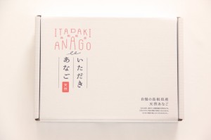 国産 極味 大穴子セット 蒲焼あなご1切×2 煮あなご1切×2 あなごのたれ12g×4穴子 肉厚  産地直送