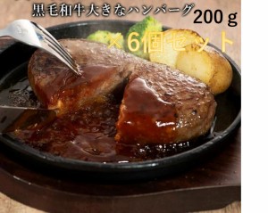 藤彩牛大判ハンバーグセット200ｇ×【6個】 6人前 肉 牛肉 加工品 グルメ 熊本 産地直送 御祝 贈答品 お歳暮 フジチク 産地直送 正規代理